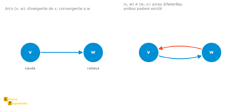 Um arco genérico v para w com cauda e cabeça marcadas, e os dois arcos opostos (v,w) e (w,v) desenhados como curvas distintas
